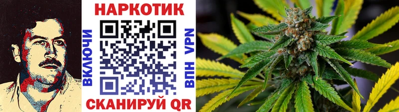 Виды наркотиков купить Комсомольск Метадон  Псилоцибиновые грибы  МЕФ  ГАШИШ  МАРИХУАНА  АМФ  КОКАИН 