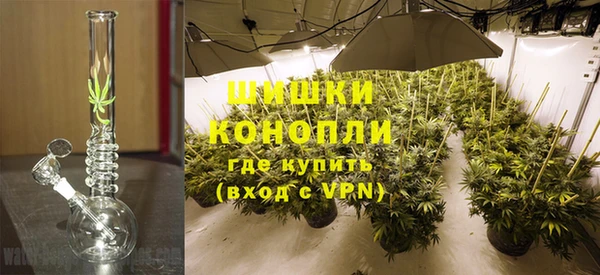 PSILOCYBIN Алексеевка