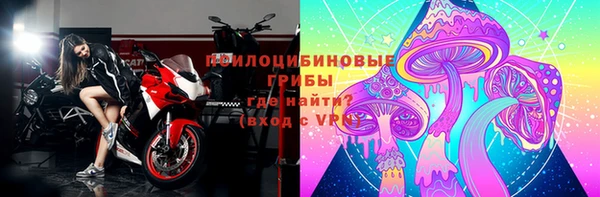 Альфа ПВП Алексин